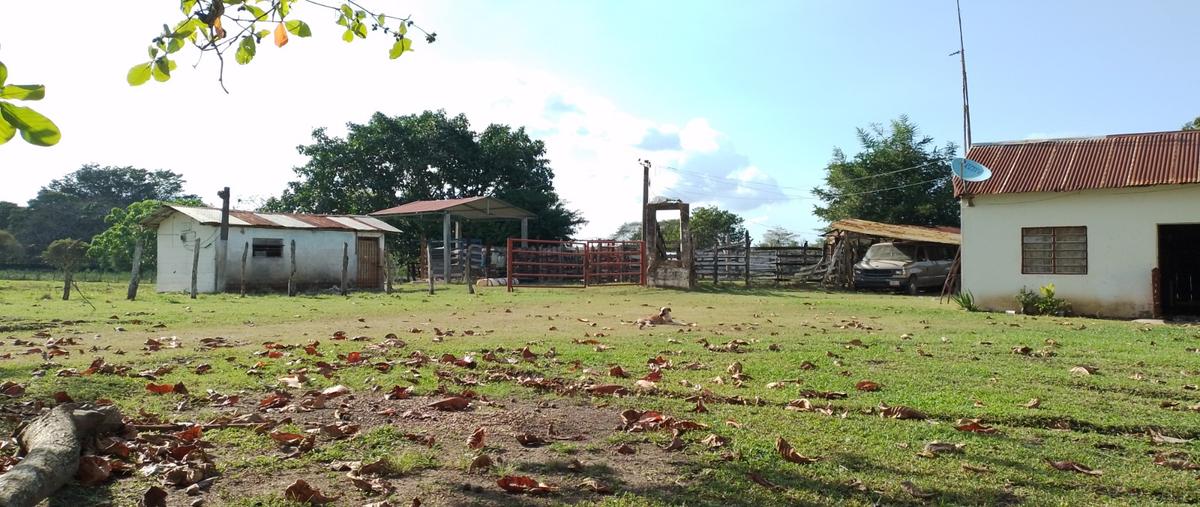 Foto de rancho en carretera vecinal balancan , el barí, balancán, tabasco, 26066475 foto 05 Foto de rancho en venta en carretera vecinal balancan , el barí, balancán, tabasco, 26066475 No. 05