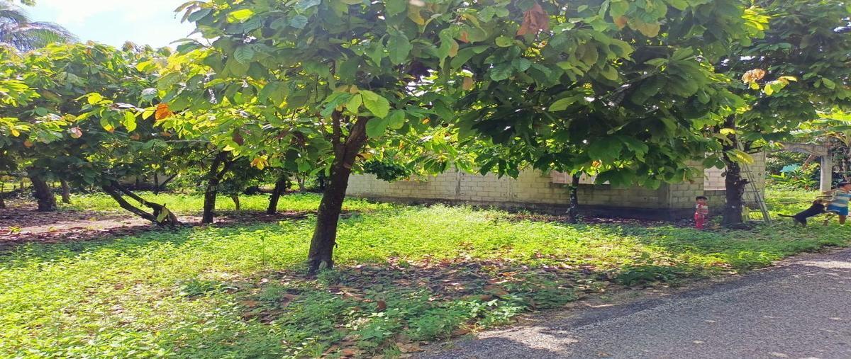 Foto de terreno habitacional en venta en carretera vecinal paraíso-comlcalco , moctezuma, paraíso, tabasco, 22819545 No. 03