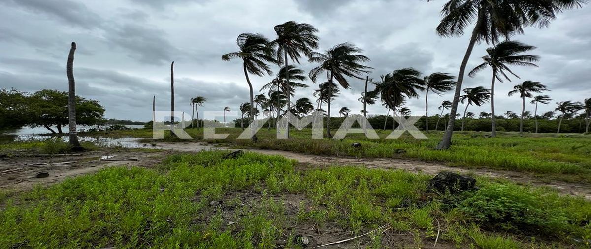 Foto de terreno habitacional en carretera vecinal torno largo interior sn rancheria , puerto ceiba (carrizal), paraíso, tabasco, 25085213 foto 02 Foto de terreno habitacional en venta en carretera vecinal torno largo interior sn rancheria , puerto ceiba (carrizal), paraíso, tabasco, 25085213 No. 02