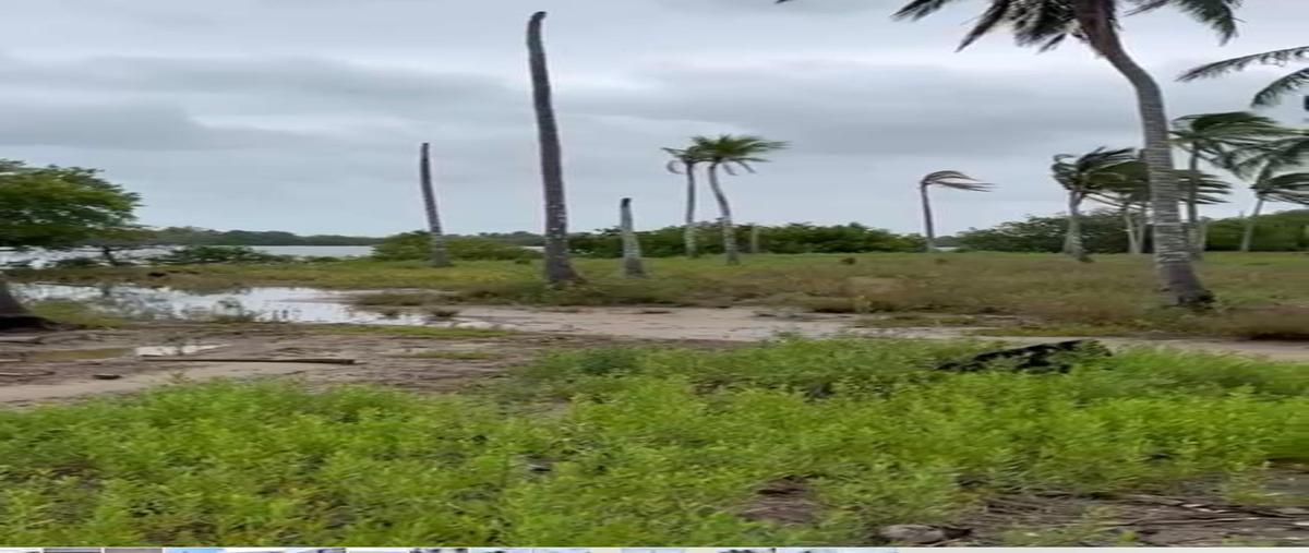 Foto de terreno habitacional en venta en carretera vecinal torno largo interior sn rancheria , puerto ceiba (carrizal), paraíso, tabasco, 25085213 No. 04