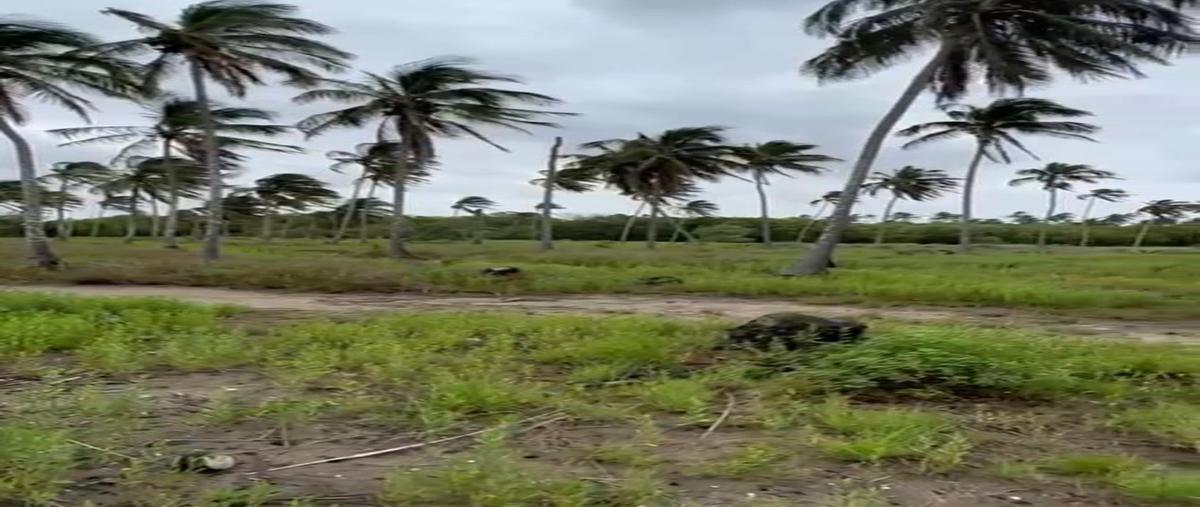 Foto de terreno habitacional en venta en carretera vecinal torno largo interior sn rancheria , puerto ceiba (carrizal), paraíso, tabasco, 25085213 No. 05