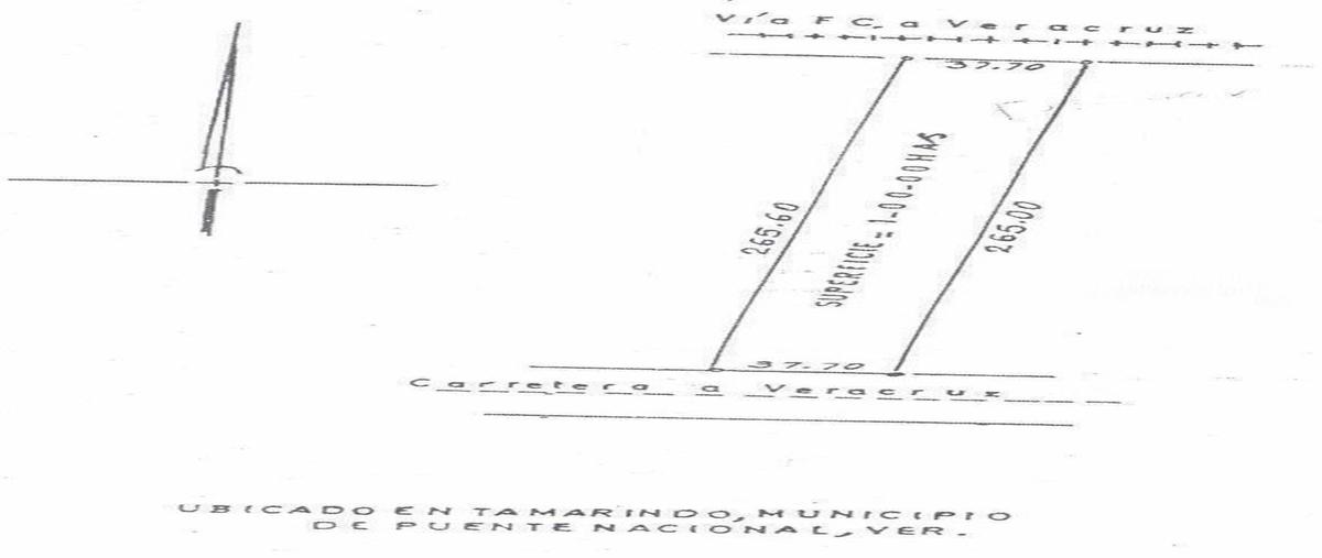 Foto de terreno habitacional en carretera veracruz - xalapa , tamarindo, puente nacional, veracruz de ignacio de la llave, 28003072 foto 03 Foto de terreno habitacional en venta en carretera veracruz - xalapa , tamarindo, puente nacional, veracruz de ignacio de la llave, 28003072 No. 03