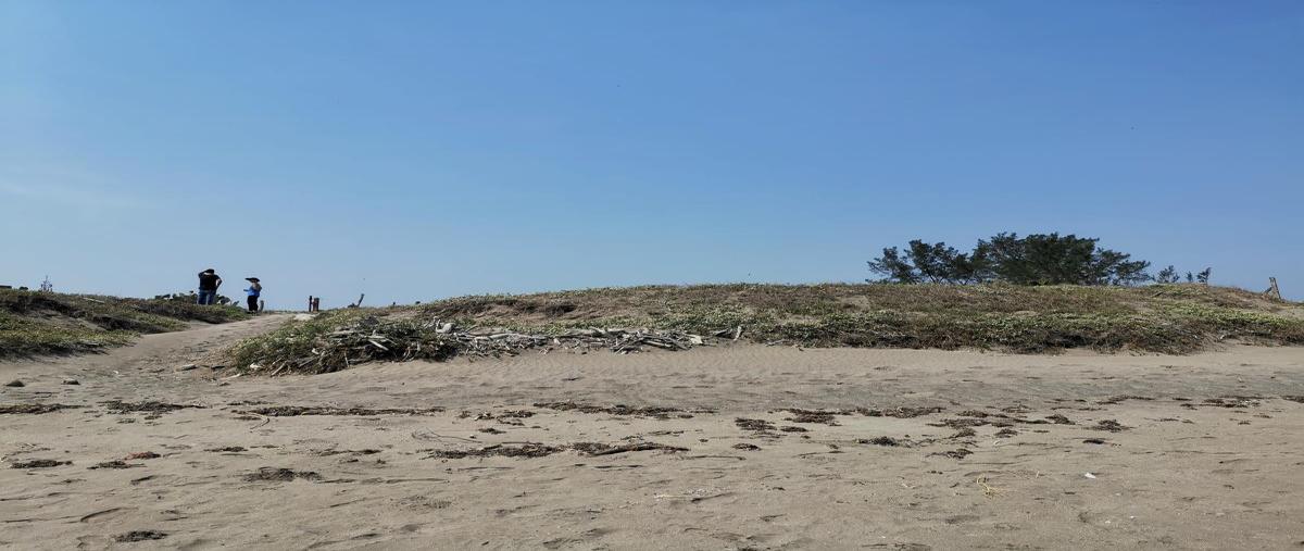 Foto de terreno habitacional en venta en carretera veracruz-alvarado 1, los médanos de buena vista, alvarado, veracruz de ignacio de la llave, 28327284 No. 05