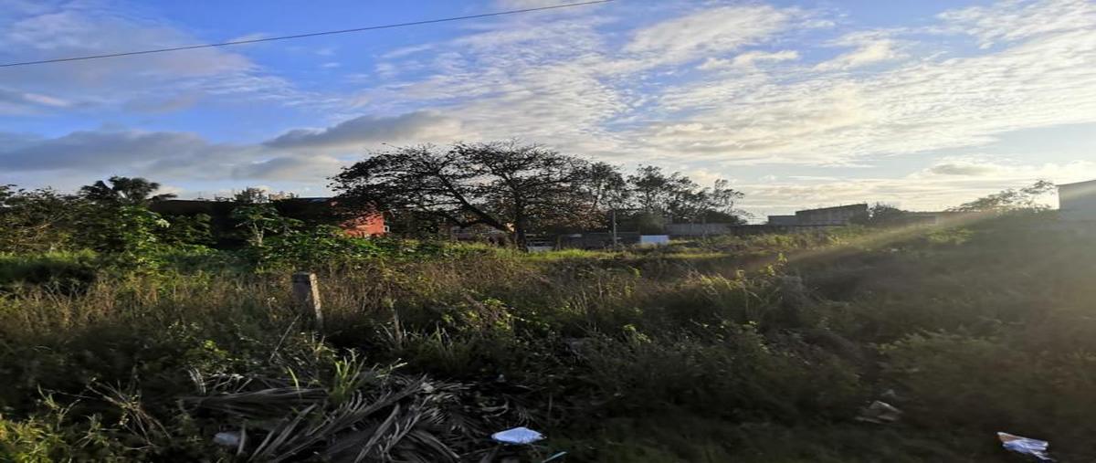 Foto de terreno comercial en venta en carretera veracruz-xalapa kilometro 10 , las bajadas, veracruz, veracruz de ignacio de la llave, 11504352 No. 04