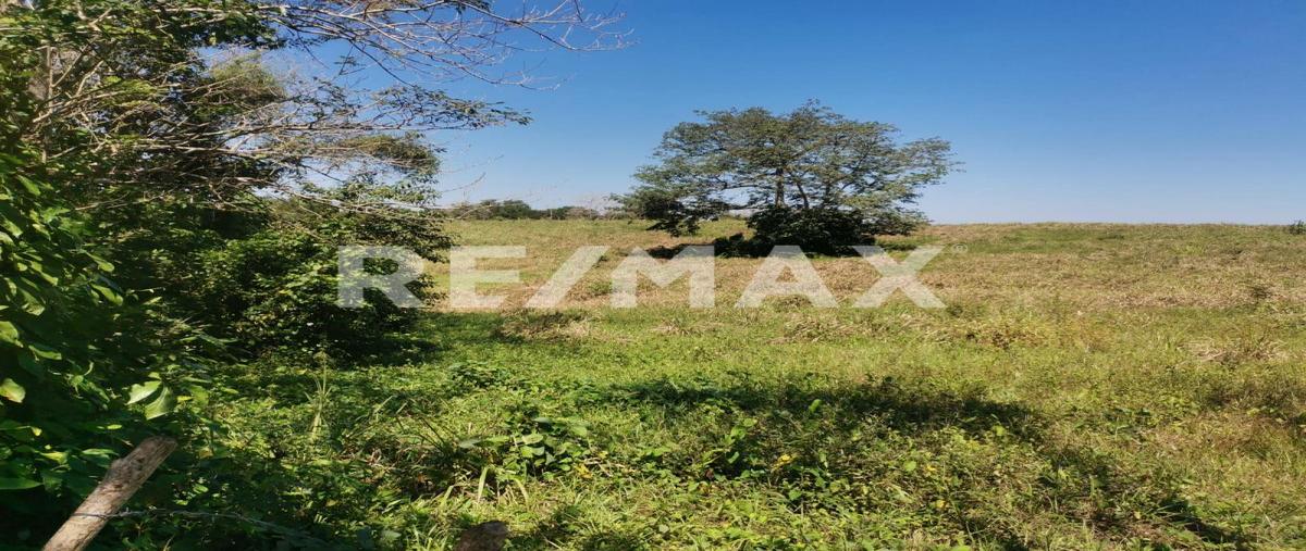 Foto de terreno habitacional en carretera vhsa- macuspana km36 , chichonal 1ra. sección, jalapa, tabasco, 25127426 foto 03 Foto de terreno habitacional en venta en carretera vhsa- macuspana km36 , chichonal 1ra. sección, jalapa, tabasco, 25127426 No. 03