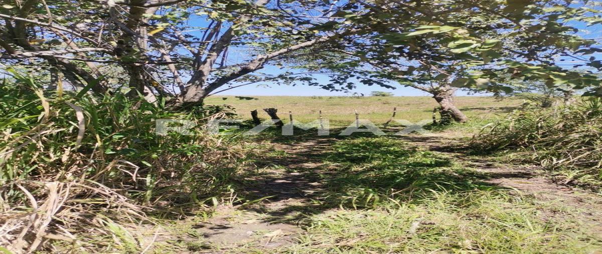 Foto de terreno habitacional en carretera vhsa- macuspana km36 , chichonal 1ra. sección, jalapa, tabasco, 25127426 foto 05 Foto de terreno habitacional en venta en carretera vhsa- macuspana km36 , chichonal 1ra. sección, jalapa, tabasco, 25127426 No. 05