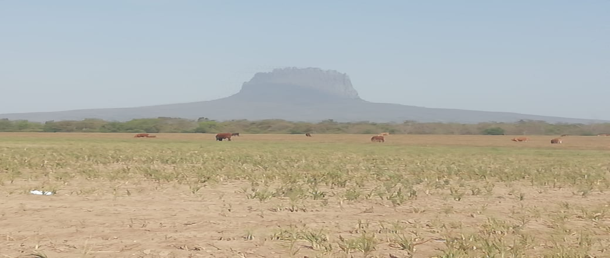 Foto de rancho en carretera villa blanca , villa gonzalez centro, gonzález, tamaulipas, 18132718 foto 01 Foto de rancho en venta en carretera villa blanca , villa gonzalez centro, gonzález, tamaulipas, 18132718 No. 01