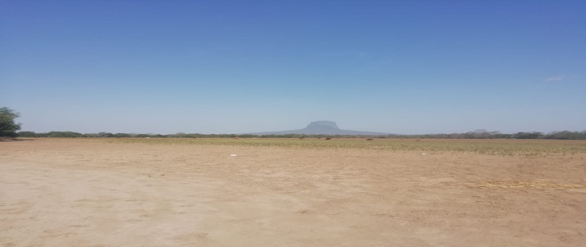 Foto de rancho en carretera villa blanca , villa gonzalez centro, gonzález, tamaulipas, 18132718 foto 02 Foto de rancho en venta en carretera villa blanca , villa gonzalez centro, gonzález, tamaulipas, 18132718 No. 02