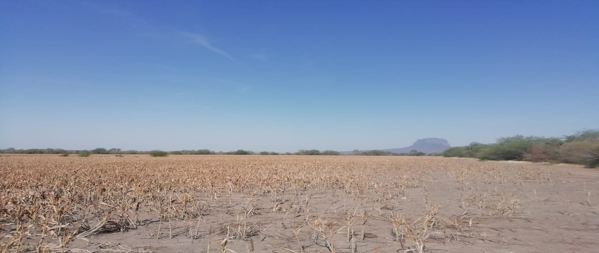 Foto de rancho en carretera villa blanca , villa gonzalez centro, gonzález, tamaulipas, 18132718 foto 03 Foto de rancho en venta en carretera villa blanca , villa gonzalez centro, gonzález, tamaulipas, 18132718 No. 03