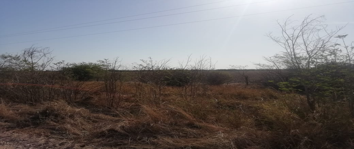Foto de rancho en carretera villa blanca , villa gonzalez centro, gonzález, tamaulipas, 18132718 foto 04 Foto de rancho en venta en carretera villa blanca , villa gonzalez centro, gonzález, tamaulipas, 18132718 No. 04
