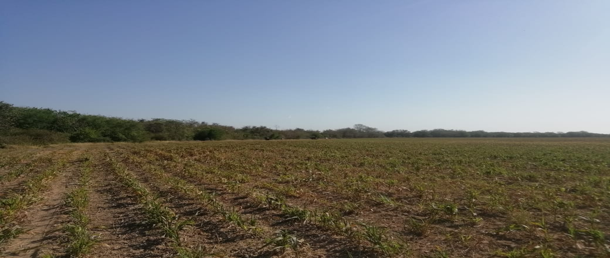 Foto de rancho en carretera villa blanca , villa gonzalez centro, gonzález, tamaulipas, 18132718 foto 05 Foto de rancho en venta en carretera villa blanca , villa gonzalez centro, gonzález, tamaulipas, 18132718 No. 05