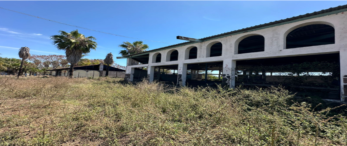 Foto de terreno habitacional en venta en carretera villa corona - acatlán de juárez , villa corona centro, villa corona, jalisco, 0 No. 01