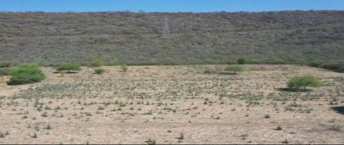 Foto de terreno habitacional en venta en carretera villa corona cocula , cocula centro, cocula, jalisco, 29876302 No. 04