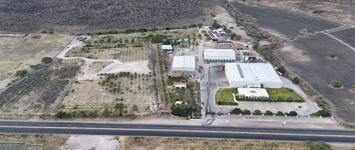 Foto de terreno habitacional en carretera villa corona- cocula , villa corona centro, villa corona, jalisco, 16664034 foto 05 Foto de terreno habitacional en venta en carretera villa corona- cocula , villa corona centro, villa corona, jalisco, 16664034 No. 05