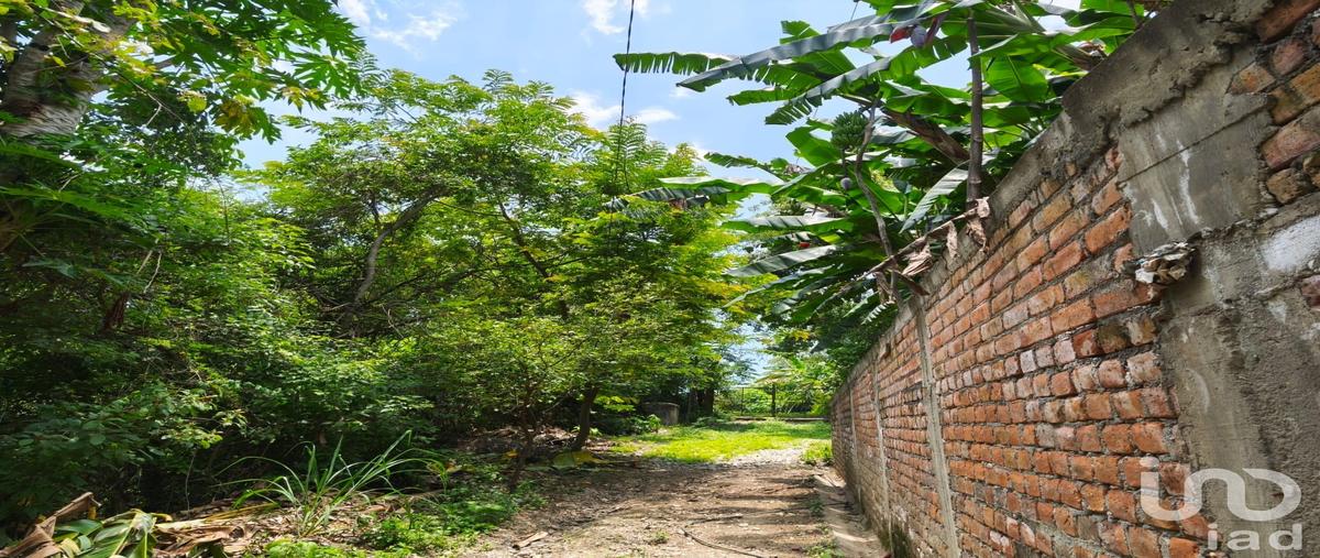 Foto de terreno habitacional en carretera villa de álvarez-minatitlán , el platanar, minatitlán, colima, 31614193 foto 02 Foto de terreno habitacional en venta en carretera villa de álvarez-minatitlán , el platanar, minatitlán, colima, 31614193 No. 02