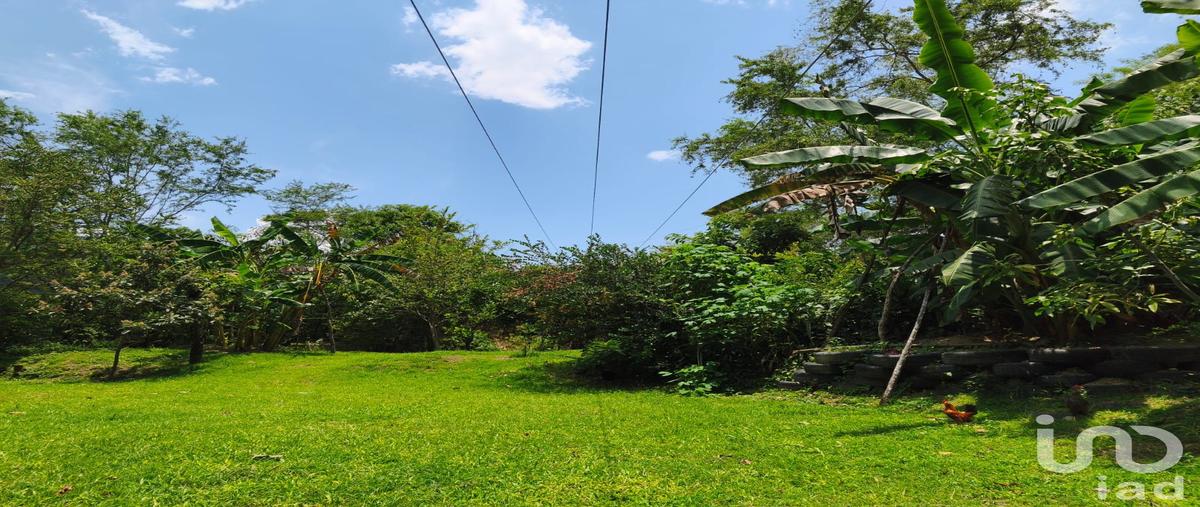 Foto de terreno habitacional en carretera villa de álvarez-minatitlán , el platanar, minatitlán, colima, 31614193 foto 05 Foto de terreno habitacional en venta en carretera villa de álvarez-minatitlán , el platanar, minatitlán, colima, 31614193 No. 05