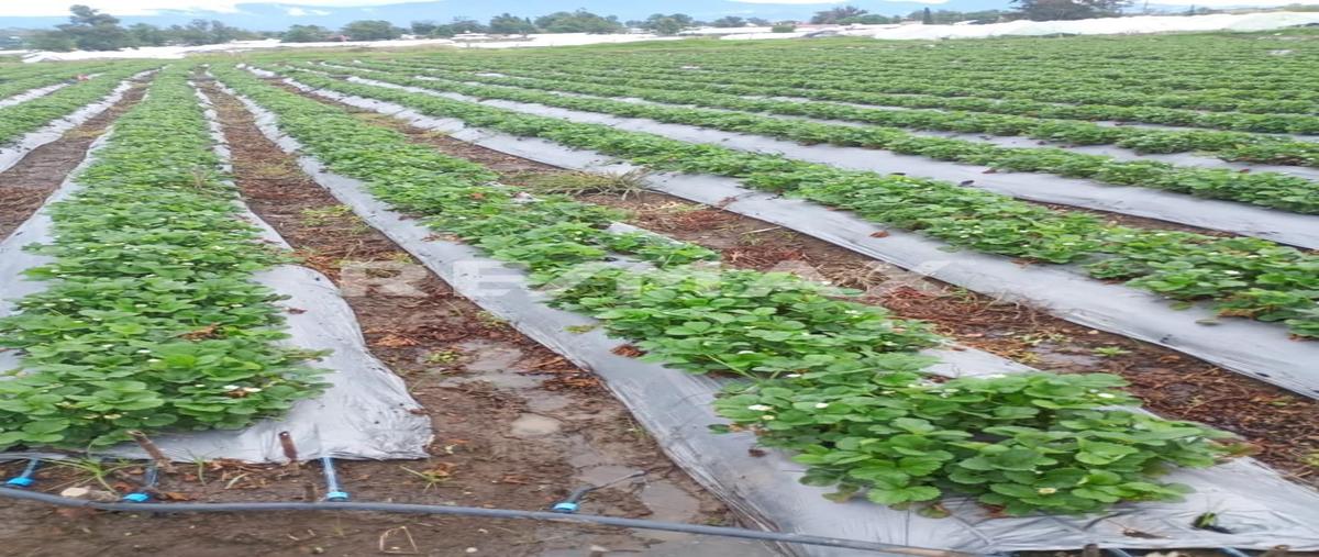 Foto de terreno habitacional en venta en carretera villa guerrero-ixtapan , totolmajac, villa guerrero, méxico, 28432259 No. 03