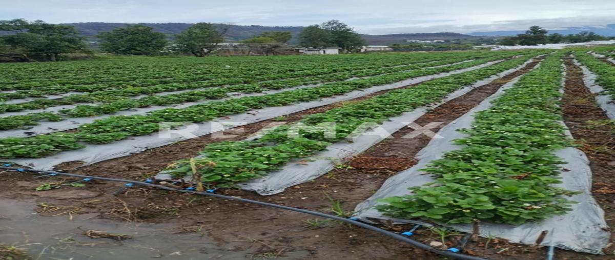 Foto de terreno habitacional en venta en carretera villa guerrero-ixtapan , totolmajac, villa guerrero, méxico, 28432259 No. 04