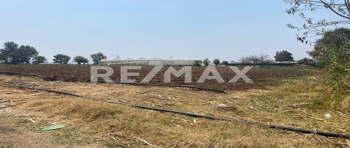 Foto de terreno habitacional en venta en carretera villa guerrero-ixtapan , totolmajac, villa guerrero, méxico, 28432259 No. 05