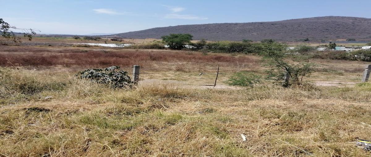 Foto de terreno habitacional en venta en carretera villacorona - cocula , villa corona centro, villa corona, jalisco, 0 No. 03