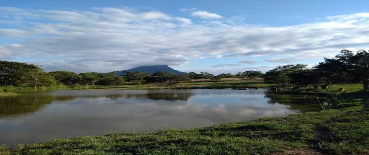 Foto de rancho en carretera villaflores/ chanona , doctor domingo chanona, villaflores, chiapas, 19198582 foto 01 Foto de rancho en venta en carretera villaflores/ chanona , doctor domingo chanona, villaflores, chiapas, 19198582 No. 01
