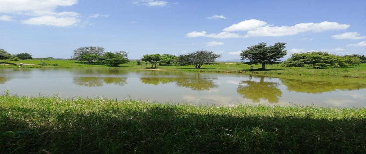 Foto de rancho en carretera villaflores/ chanona , doctor domingo chanona, villaflores, chiapas, 19198582 foto 02 Foto de rancho en venta en carretera villaflores/ chanona , doctor domingo chanona, villaflores, chiapas, 19198582 No. 02