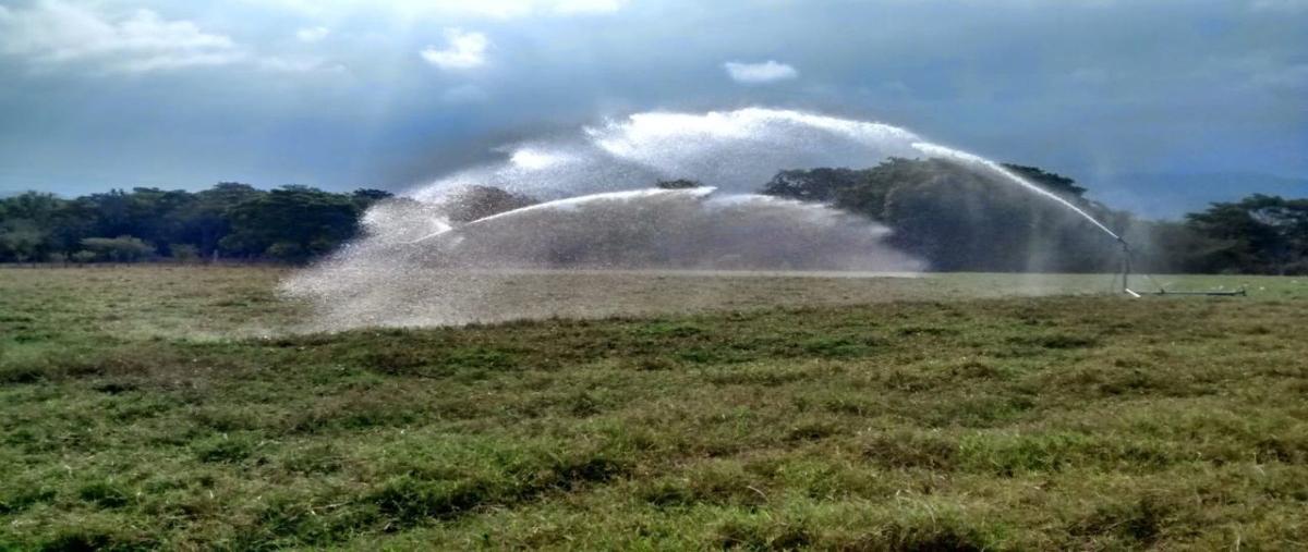 Foto de rancho en carretera villaflores/ chanona , doctor domingo chanona, villaflores, chiapas, 19198582 foto 03 Foto de rancho en venta en carretera villaflores/ chanona , doctor domingo chanona, villaflores, chiapas, 19198582 No. 03