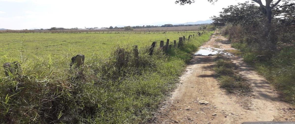 Foto de rancho en carretera villaflores/ chanona , doctor domingo chanona, villaflores, chiapas, 19198582 foto 05 Foto de rancho en venta en carretera villaflores/ chanona , doctor domingo chanona, villaflores, chiapas, 19198582 No. 05