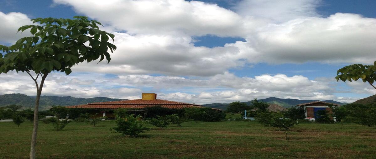 Foto de rancho en carretera villaflores ursulo galvan , villaflores centro, villaflores, chiapas, 28471028 foto 03 Foto de rancho en venta en carretera villaflores ursulo galvan , villaflores centro, villaflores, chiapas, 28471028 No. 03