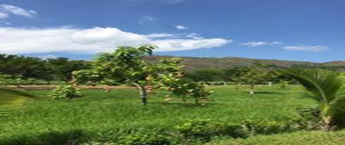 Foto de rancho en carretera villaflores ursulo galvan , villaflores centro, villaflores, chiapas, 28471028 foto 04 Foto de rancho en venta en carretera villaflores ursulo galvan , villaflores centro, villaflores, chiapas, 28471028 No. 04