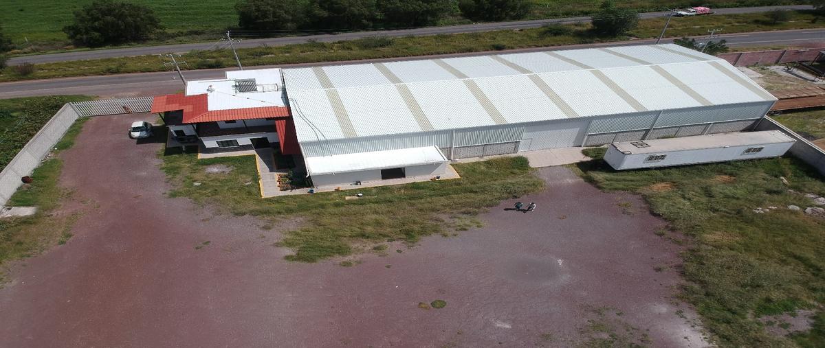 Foto de bodega en carretera villagrán-villagasca , villagran centro, villagrán, guanajuato, 29936514 foto 01 Foto de bodega en renta en carretera villagrán-villagasca , villagran centro, villagrán, guanajuato, 29936514 No. 01