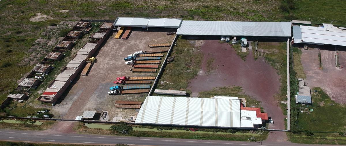Foto de bodega en carretera villagrán-villagasca , villagran centro, villagrán, guanajuato, 29936514 foto 03 Foto de bodega en renta en carretera villagrán-villagasca , villagran centro, villagrán, guanajuato, 29936514 No. 03