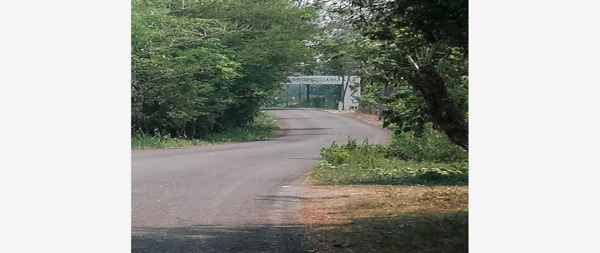 Foto de terreno comercial en venta en carretera villahermosa teapa kilometro 25 venta de 6 hectareas , la huasteca 2da. sección (alvarado la raya), centro, tabasco, 26424407 No. 05