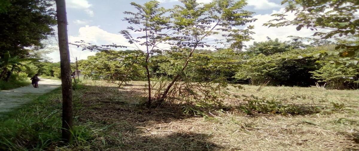 Foto de terreno habitacional en venta en carretera villahermosa-reforma , villahermosa centro, centro, tabasco, 0 No. 05