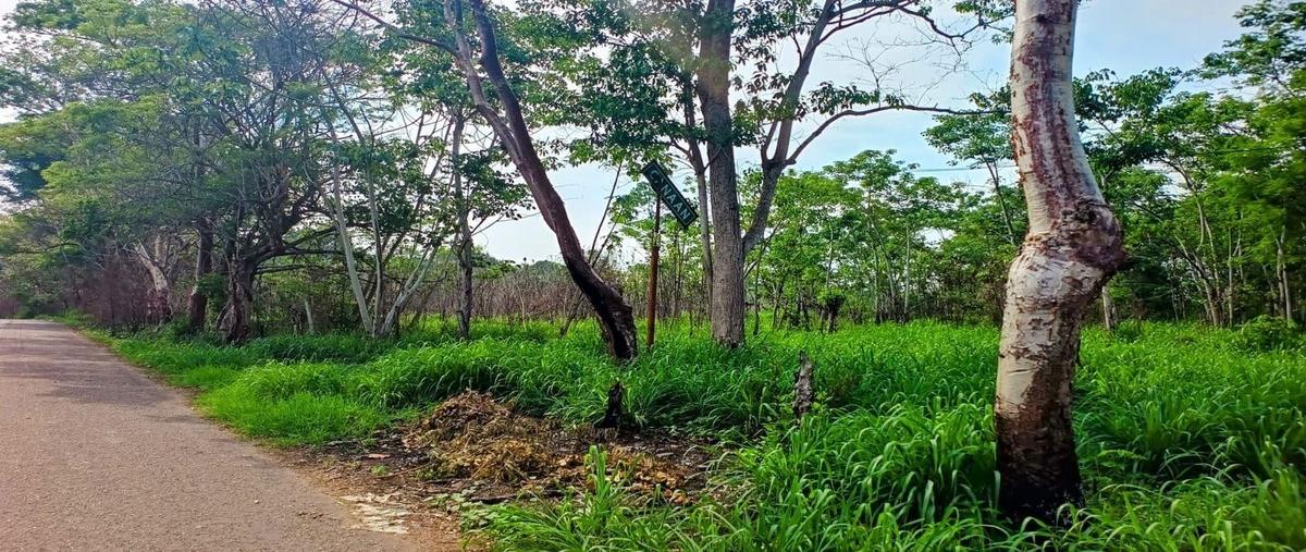 Foto de terreno habitacional en carretera villahermosa-teapa , el manzano, centro, tabasco, 28269992 foto 02 Foto de terreno habitacional en venta en carretera villahermosa-teapa , el manzano, centro, tabasco, 28269992 No. 02