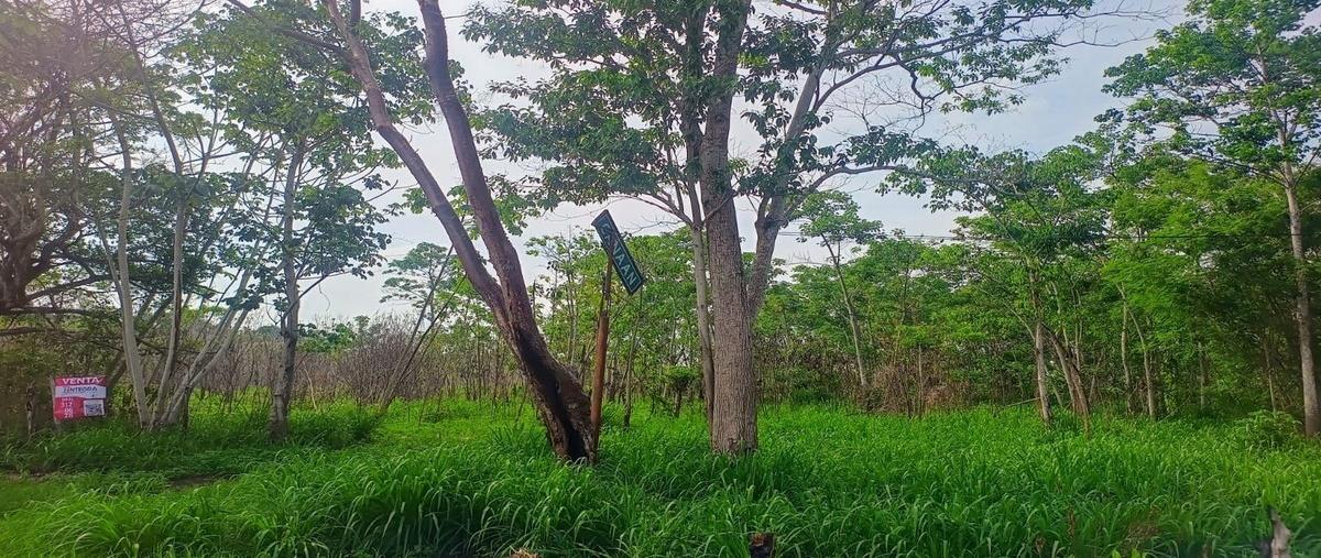 Foto de terreno habitacional en carretera villahermosa-teapa , el manzano, centro, tabasco, 28269992 foto 04 Foto de terreno habitacional en venta en carretera villahermosa-teapa , el manzano, centro, tabasco, 28269992 No. 04