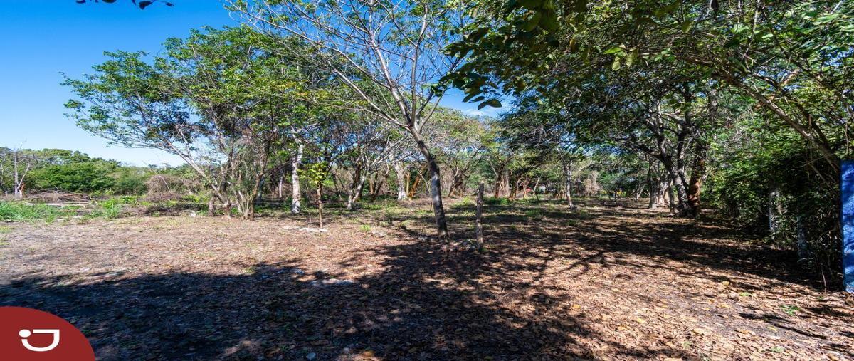 Foto de terreno habitacional en carretera xalapa veracruz , buena vista, emiliano zapata, veracruz de ignacio de la llave, 27475103 foto 05 Foto de terreno habitacional en venta en carretera xalapa veracruz , buena vista, emiliano zapata, veracruz de ignacio de la llave, 27475103 No. 05