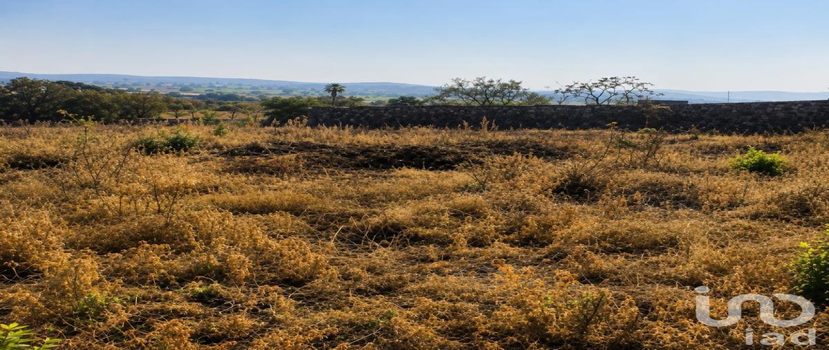 Foto de terreno habitacional en venta en carretera yautepec-tlayacapan , josé ortiz (san martín), yautepec, morelos, 29206667 No. 03