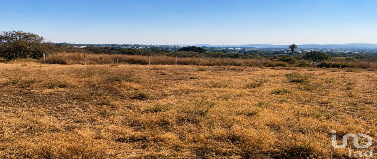 Foto de terreno habitacional en venta en carretera yautepec-tlayacapan , josé ortiz (san martín), yautepec, morelos, 29206667 No. 04