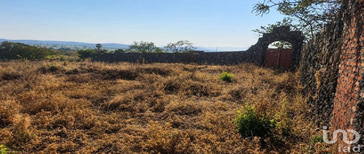 Foto de terreno habitacional en venta en carretera yautepec-tlayacapan , josé ortiz (san martín), yautepec, morelos, 29206667 No. 05