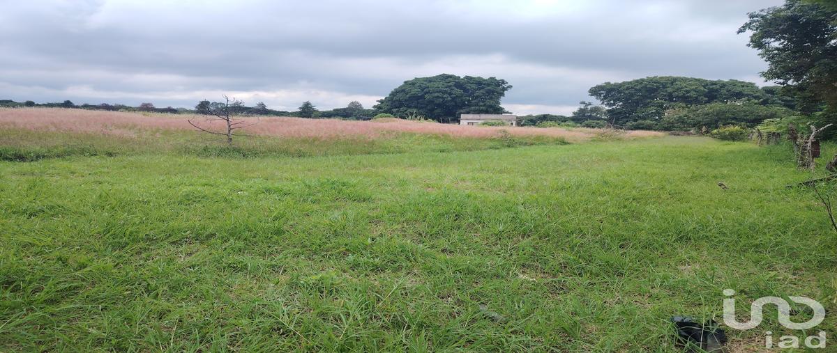 Foto de terreno comercial en carretera yecapixtla-ocuituco , ocuituco, ocuituco, morelos, 0 foto 02 Foto de terreno comercial en venta en carretera yecapixtla-ocuituco , ocuituco, ocuituco, morelos, 0 No. 02