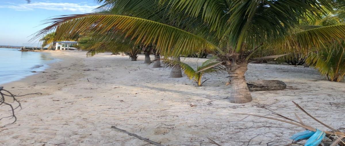 Foto de terreno habitacional en carretera zac bajo 0, lolbe, isla mujeres, quintana roo, 17145264 foto 01 Foto de terreno habitacional en venta en carretera zac bajo 0, lolbe, isla mujeres, quintana roo, 17145264 No. 01