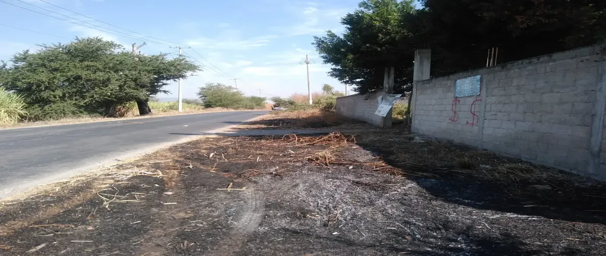 Foto de terreno habitacional en venta en carretera zacatepec-tlaltizapan , jojutla centro, jojutla, morelos, 29881431 No. 02