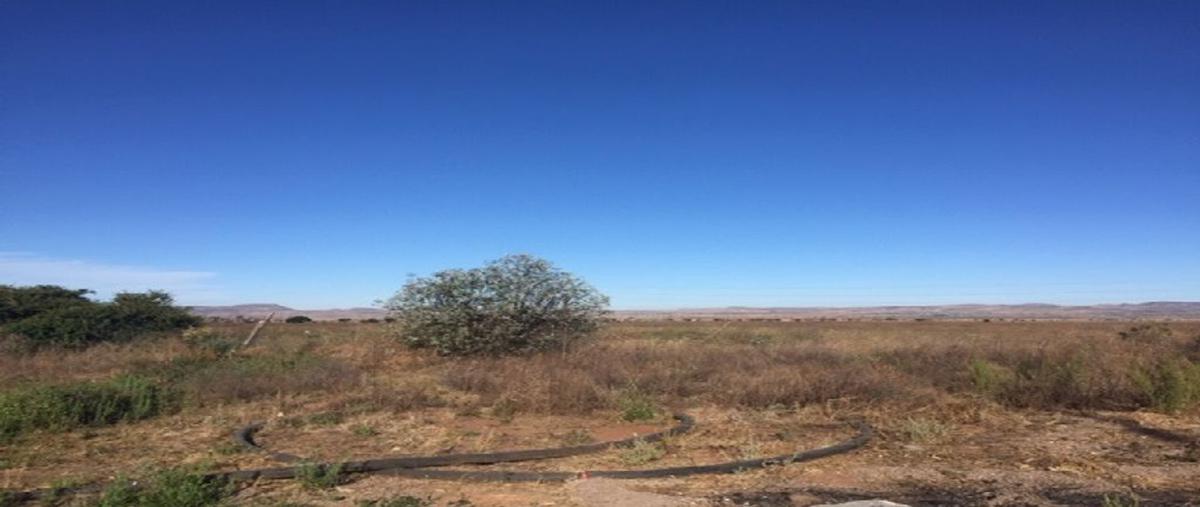 Foto de terreno habitacional en venta en carretera zac-jerez , cieneguillas, zacatecas, zacatecas, 25470478 No. 04