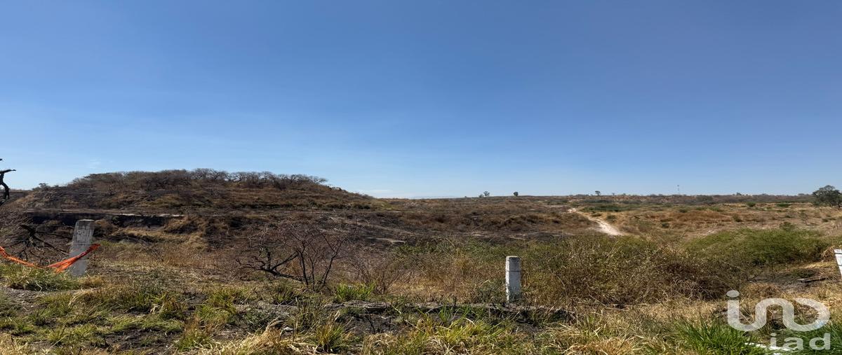 Foto de terreno comercial en carretera zapotlanejo , zapotlanejo centro, zapotlanejo, jalisco, 30221447 foto 01 Foto de terreno comercial en venta en carretera zapotlanejo , zapotlanejo centro, zapotlanejo, jalisco, 30221447 No. 01