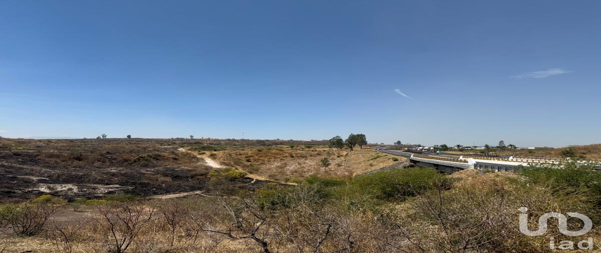 Foto de terreno comercial en carretera zapotlanejo , zapotlanejo centro, zapotlanejo, jalisco, 30221447 foto 02 Foto de terreno comercial en venta en carretera zapotlanejo , zapotlanejo centro, zapotlanejo, jalisco, 30221447 No. 02