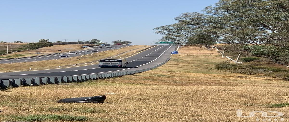 Foto de terreno comercial en carretera zapotlanejo , zapotlanejo centro, zapotlanejo, jalisco, 30221447 foto 05 Foto de terreno comercial en venta en carretera zapotlanejo , zapotlanejo centro, zapotlanejo, jalisco, 30221447 No. 05