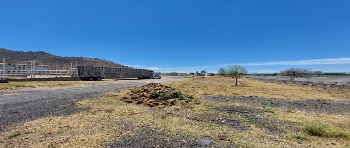 Foto de rancho en venta en carretera “magdalena - etzatlán”. , magdalena centro, magdalena, jalisco, 0 No. 03