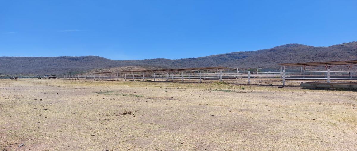 Foto de rancho en venta en carretera “magdalena - etzatlán”. , magdalena centro, magdalena, jalisco, 0 No. 04