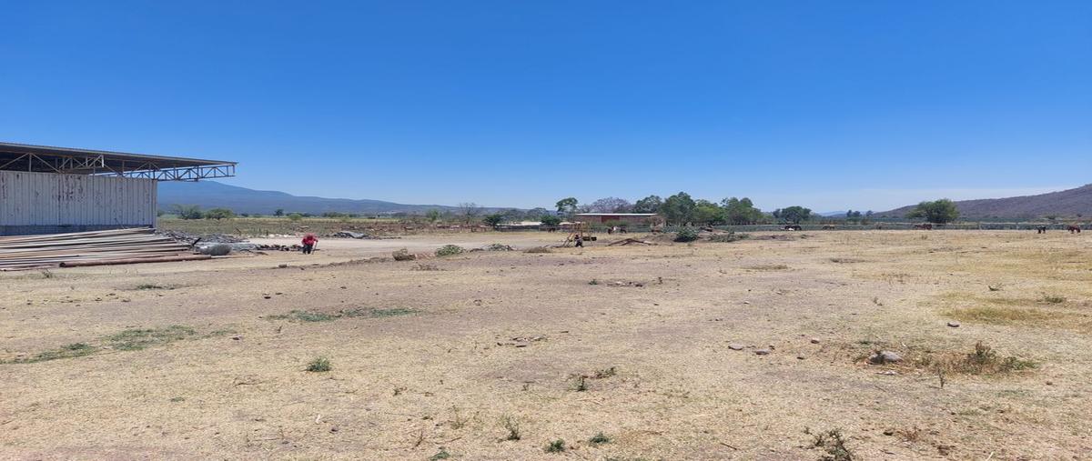 Foto de rancho en venta en carretera “magdalena - etzatlán”. , magdalena centro, magdalena, jalisco, 0 No. 05